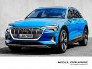 /img/carsfr/audi/e-tron/2019/pic.jpg