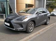 /img/carsfr/lexus/nx/2019/pic.jpg