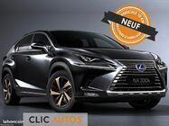 /img/carsfr/lexus/nx/2021/pic.jpg
