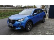 /img/carsfr/peugeot/2008/2021/pic.jpg