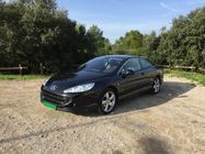 /img/carsfr/peugeot/407/2012/pic.jpg