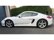 /img/carsfr/porsche/cayman/2014/pic.jpg