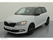 /img/carsfr/skoda/fabia/2020/pic.jpg
