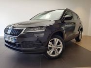 /img/carsfr/skoda/karoq/2017/pic.jpg