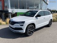 /img/carsfr/skoda/karoq/2019/pic.jpg