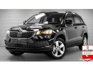 /img/carsfr/skoda/karoq/2021/pic.jpg