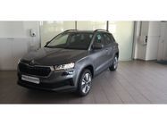 /img/carsfr/skoda/karoq/2023/pic.jpg